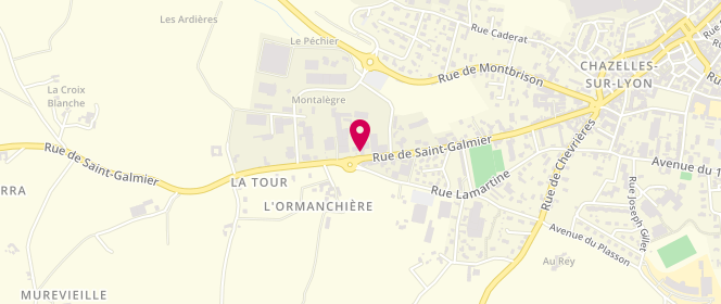Plan de Access - TotalEnergies, Route de Saint Galmier, 42140 Chazelles-sur-Lyon