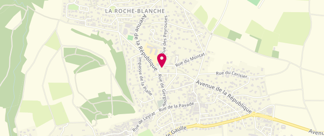 Plan de Intermarché Contact, Lieudit Chateaugay, 63670 La Roche-Blanche