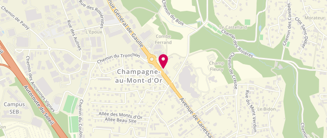 Plan de Access - TotalEnergies, 4 Avenue du General de Gaulle, 69410 Champagne-au-Mont-d'Or
