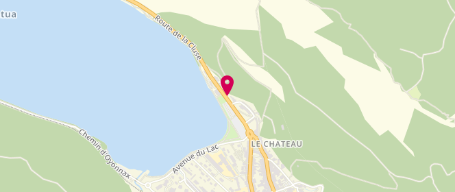 Plan de Access - TotalEnergies, Route de la Cluse D 1084, 01130 Nantua