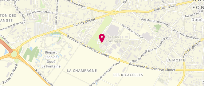 Plan de Super U DOUE LA FONTAINE, Boulevard du Docteur Lionet, 49700 Doué-la-Fontaine