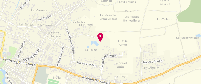 Plan de Carrefour Romorantin, Zone Aménagement de Plaisance, 41200 Romorantin-Lanthenay