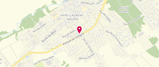 Plan de Super U ST LAURENT NOUAN, Avenue de Sologne, 41220 Saint-Laurent-Nouan