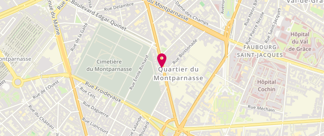Plan de Avia GES Location Garage, 253 Boulevard Raspail, 75014 Paris
