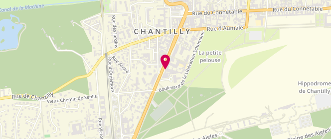 Plan de BP Chantilly du Parc Aumont Speedy, 28 Avenue du Maréchal Joffre, 60500 Chantilly